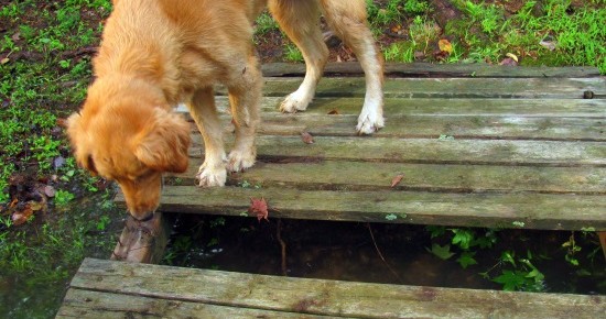 Don’t end up in the middle of the lake – Ask first