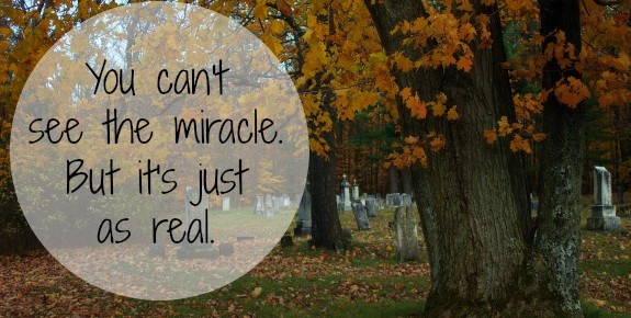 Another cemetery miracle