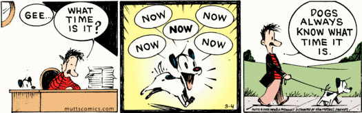 what-time-is-it-now-muttscomics