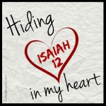 Hiding-Isaiah-12