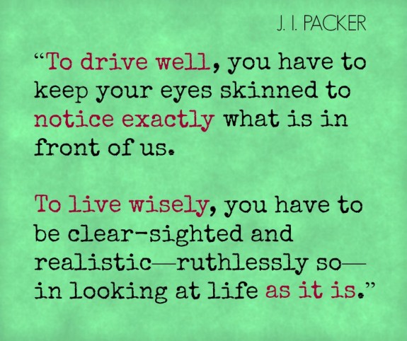To-drive-well_Packer