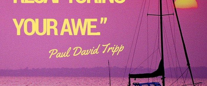 Grow by recapturing your awe