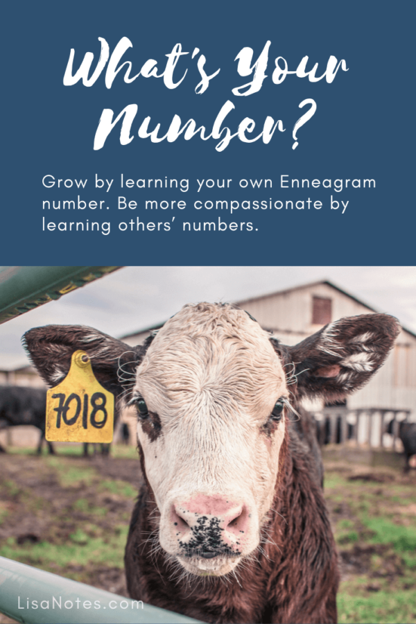 What's Your Enneagram Number?