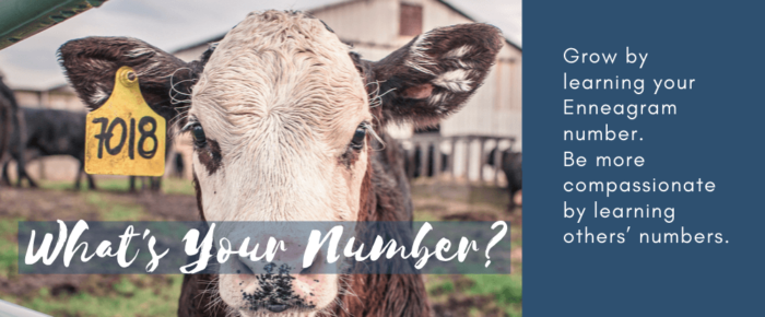 What’s Your Number? The Enneagram and The Road Back to You