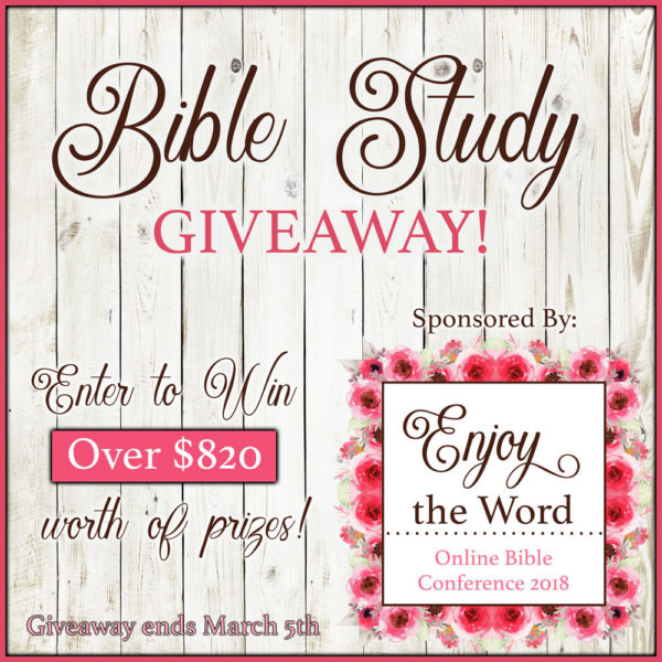 Bible Study Giveaway