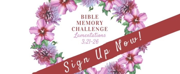 How a Christian Concert Affirmed This Memory Challenge {Join Me!}