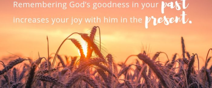 Enjoy the Harvest