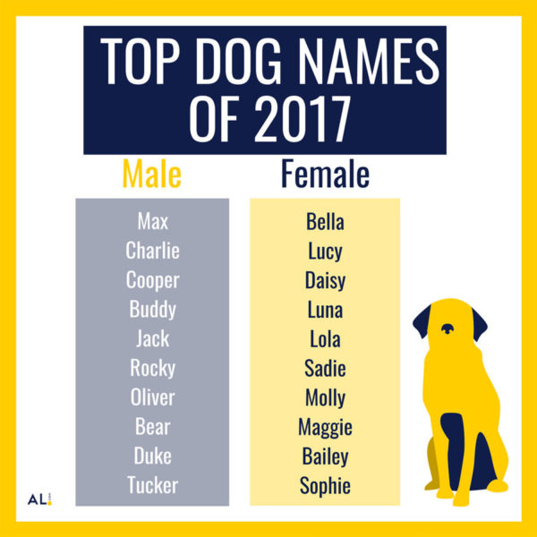 Top Dog Names 2017