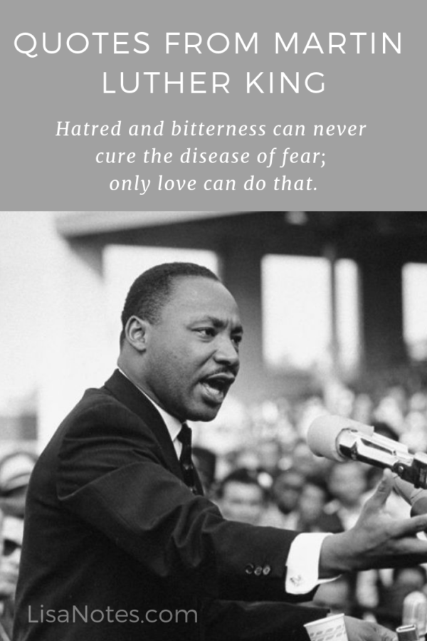 Hatred and bitterness can never cure the disease of fear; only love can do that.