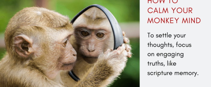 How Do You Settle Your Monkey Mind?