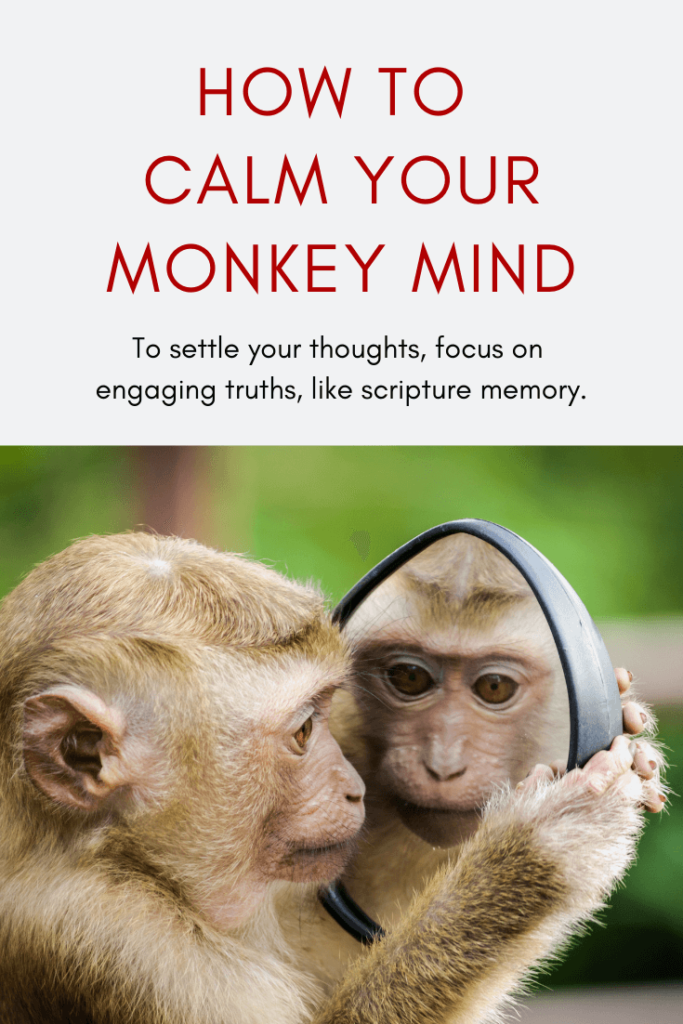 How Do You Settle Your Monkey Mind?