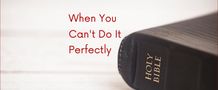 When You Can’t Do It Perfectly, Just Do It Anyway —Grace & Truth Linkup