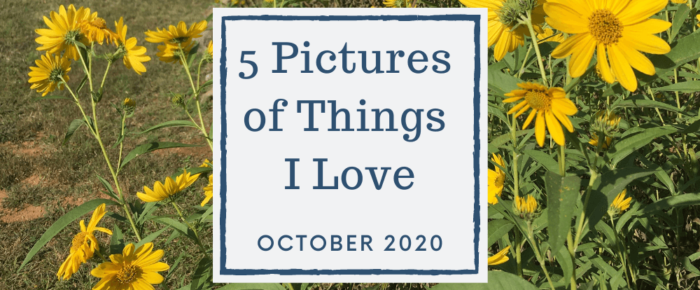 5 Pictures of Things I Love—October 2020