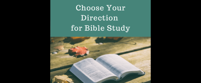 Do You Go Wide or Go Deep with Bible Study?