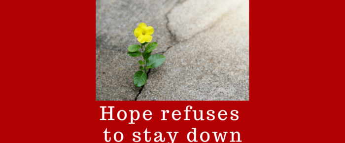 When Hope Refuses to Stay Down —Grace & Truth Linkup