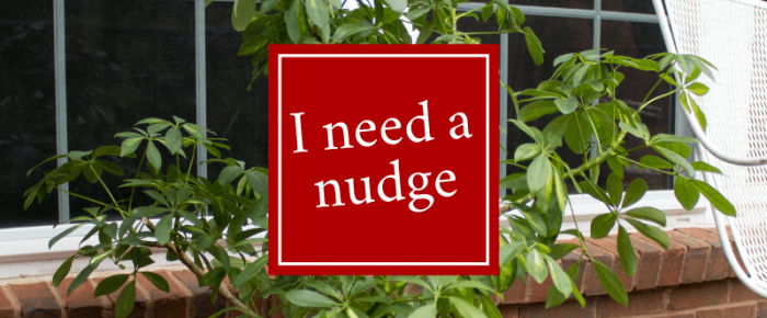 I Need a Nudge