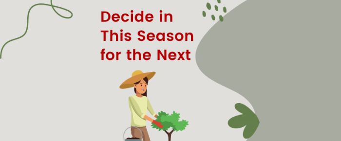 Decide in This Season for the Next —Grace & Truth Linkup