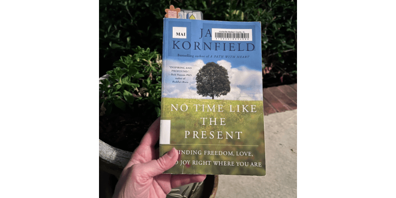 No Time Like the Present {A Book a Day 15}