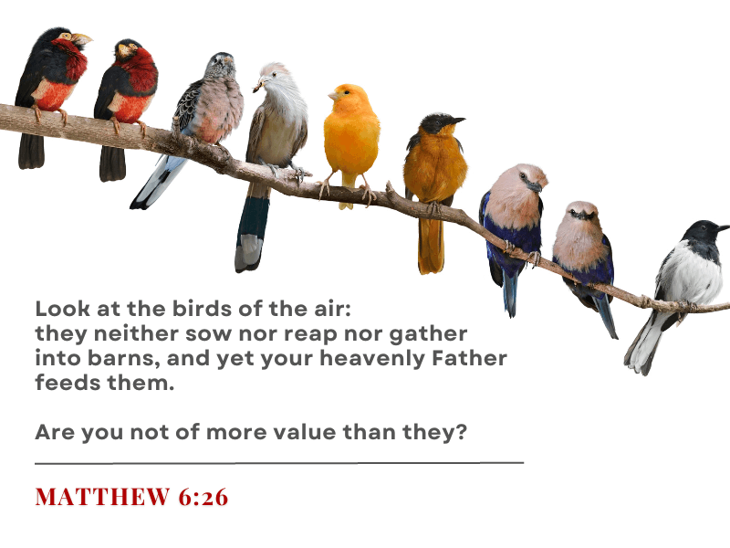 matthew 6:25 34