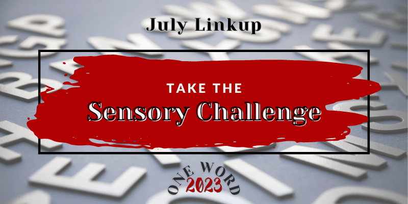Practice These 3 Sensory Challenges with Your One Word {One Word 2023 July Linkup}