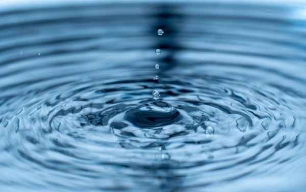 Throw Your Rock in the Water: How Small Actions Create Big Ripples