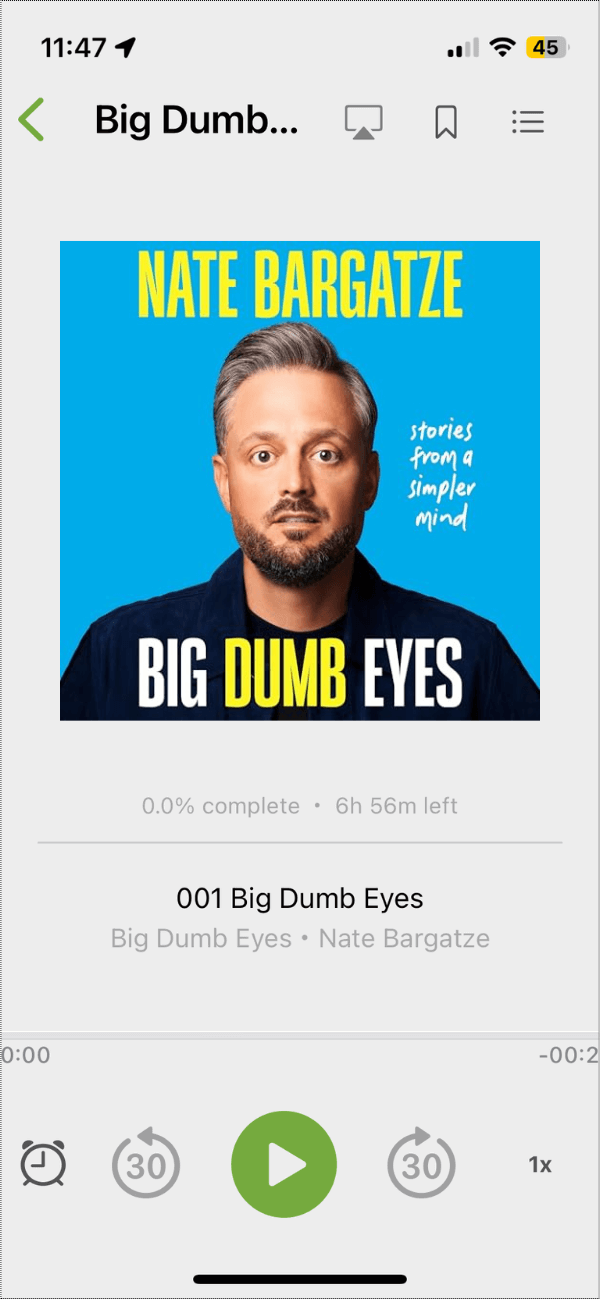 Big Dumb Eyes audiobook