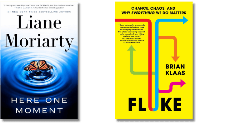 Book covers of Here One Moment and Fluke