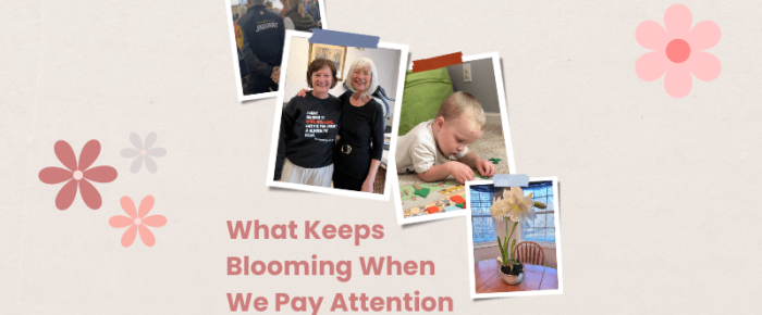 Noticing the Shift: What Keeps Blooming When We Pay Attention —Share Four Somethings January 2026