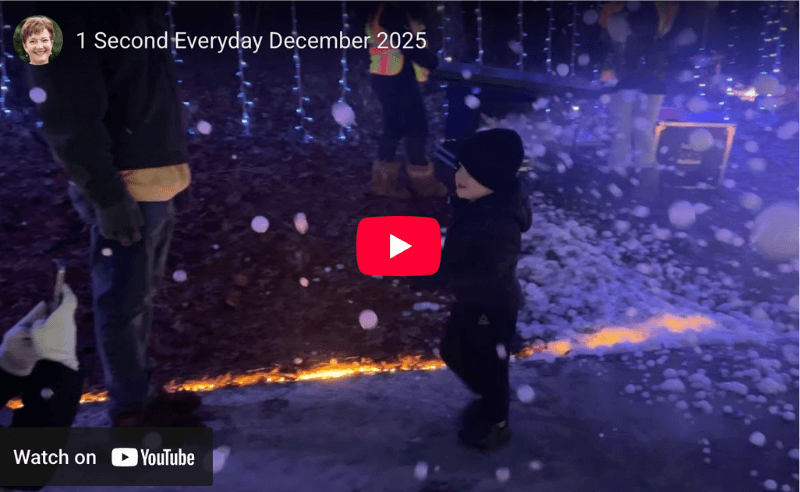 Video of One-Second-Everyday for December 2025