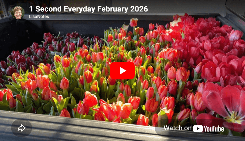 1 Second Everyday video February 2026