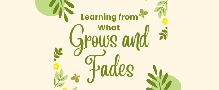 Learning from What Grows and Fades: Share 4 Somethings (March)
