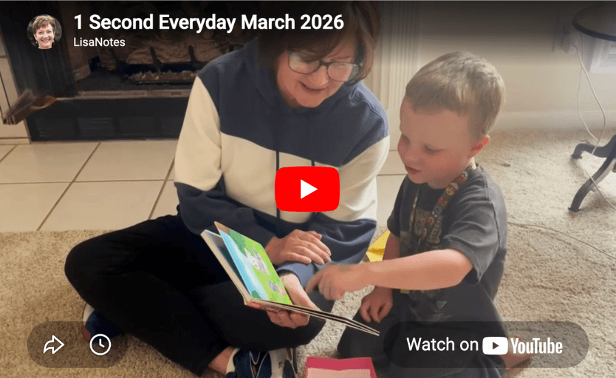 1 second everyday video