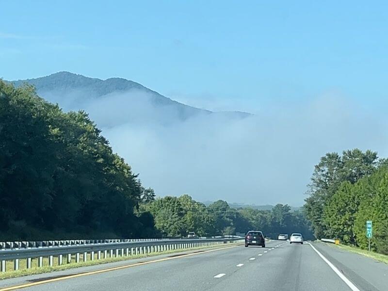 Road stretching ahead through the trees on the drive home from North Carolina